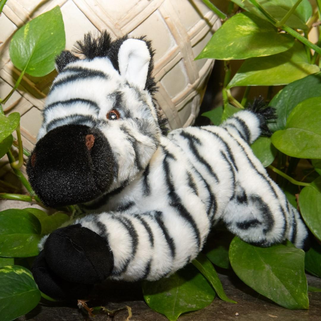Adopt with Plush | The Wilds